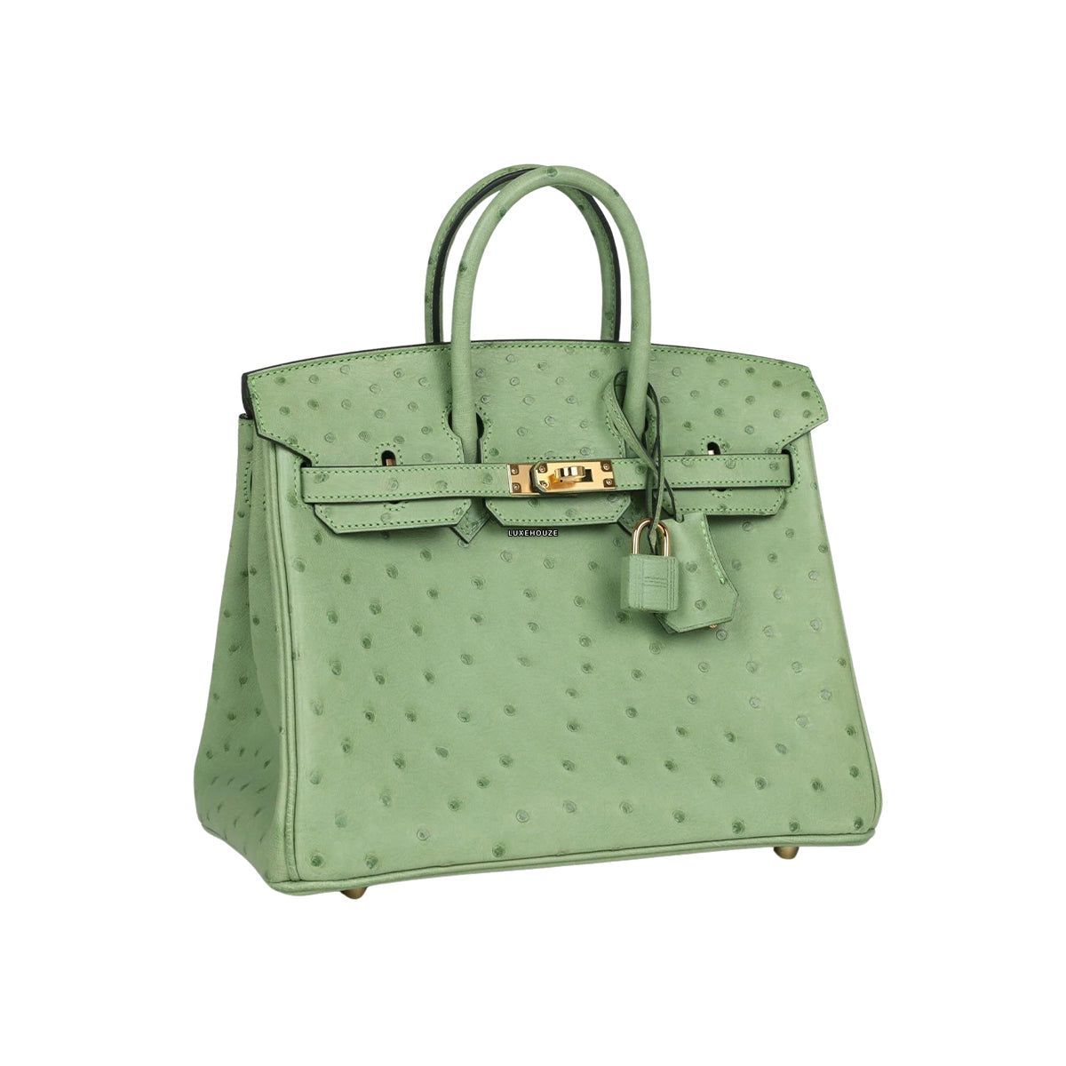 Hermes Birkin 25 Vert Criquet Ostrich GHW B